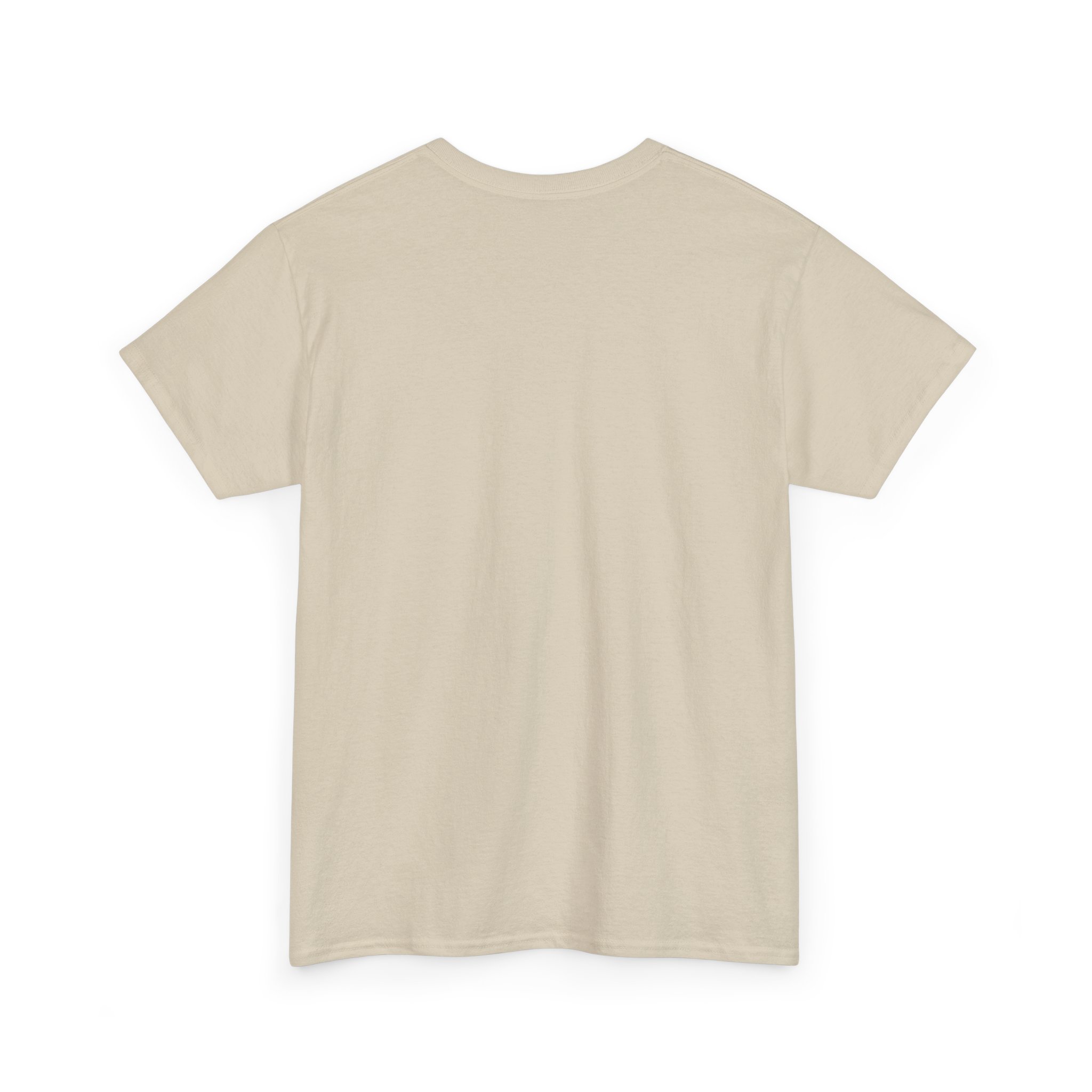 Perfect Alexander T-shirt - Image 15